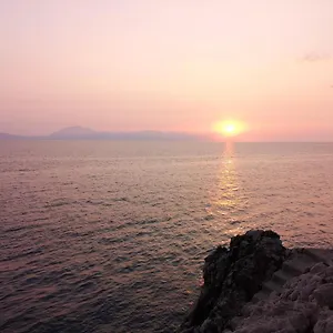 L'agapanto Terrasini